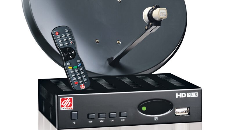 डिसहोमको कर्मचारी बनेर २९ लाखभन्दा बढी ठगी, ३६४ जना सिकार