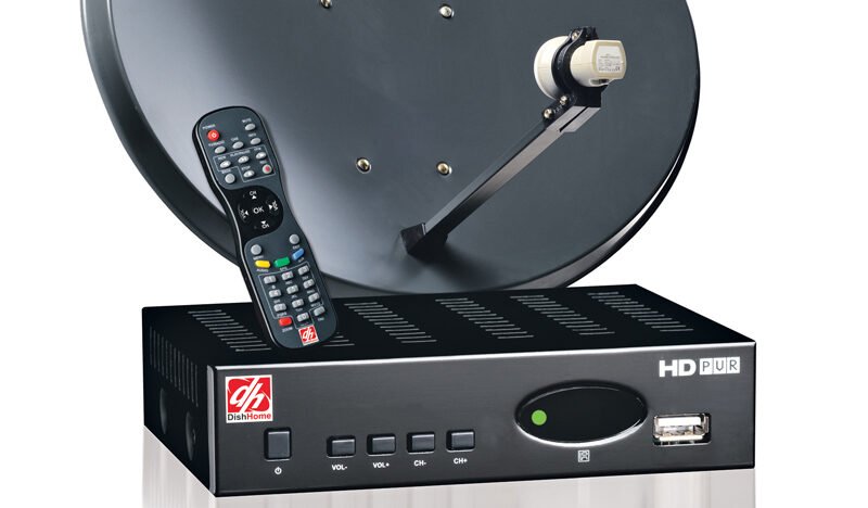 डिसहोमको कर्मचारी बनेर २९ लाखभन्दा बढी ठगी, ३६४ जना सिकार