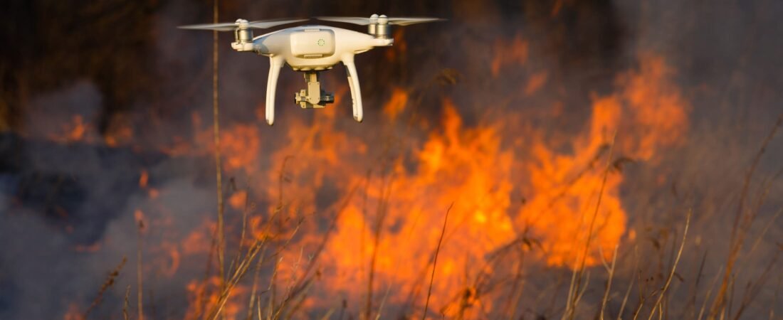 डढेलो नियन्त्रण ड्रोन प्रविधि कहिलेदेखि लागू हुन्छ ? १८ बुँदे प्रतिबद्धतामा यी विषय समेटिएका