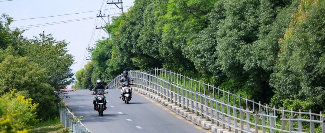 चक्रपथको अस्तव्यस्तताबीच सानेपाको हरियाली बन्यो सहरी सौन्दर्यको उदाहरण