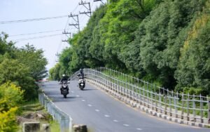 चक्रपथको अस्तव्यस्तताबीच सानेपाको हरियाली बन्यो सहरी सौन्दर्यको उदाहरण
