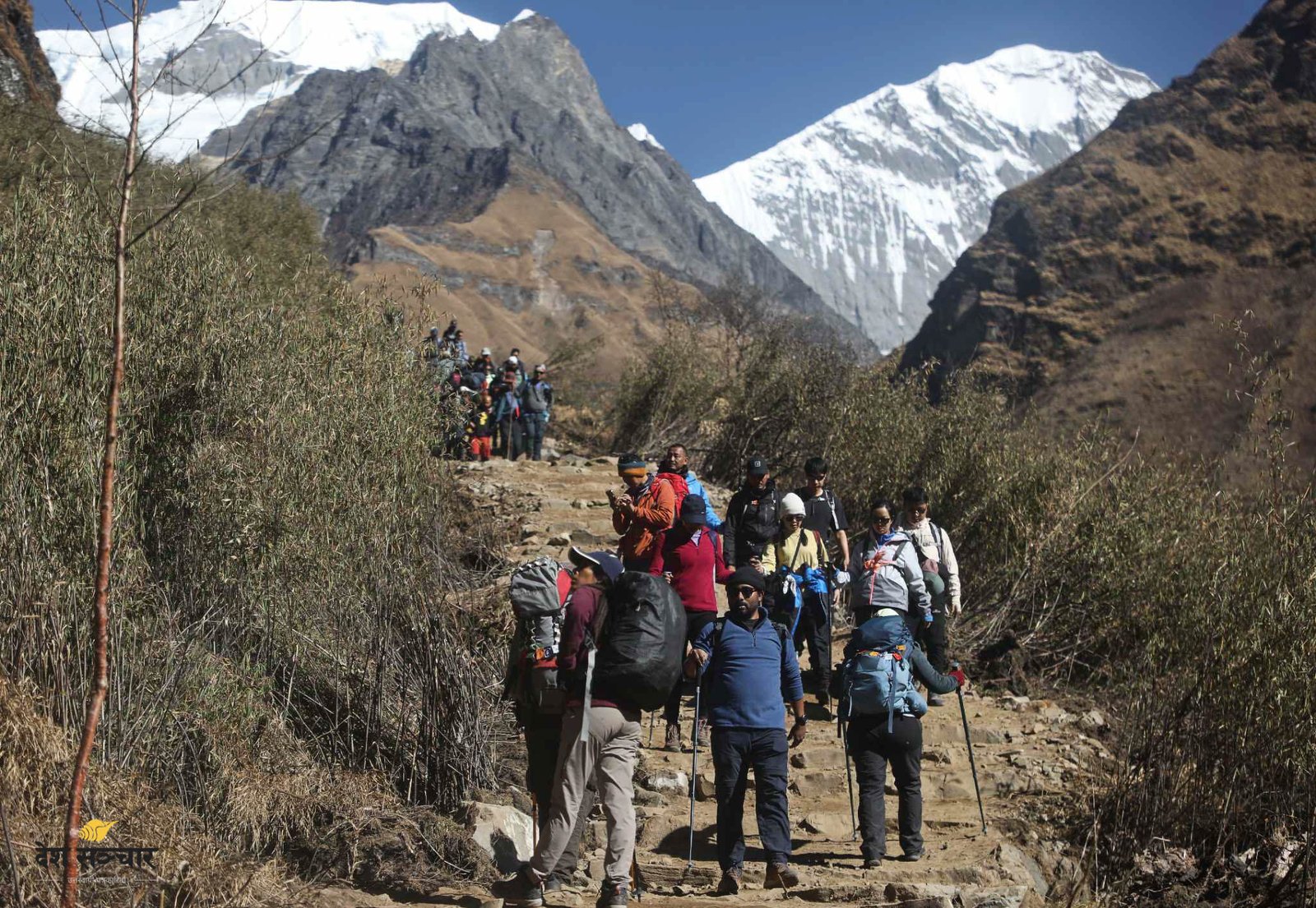 तामाङ सम्पदा